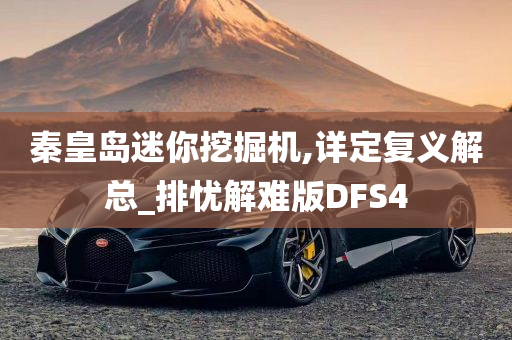 秦皇岛迷你挖掘机,详定复义解总_排忧解难版DFS4