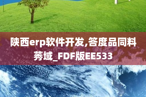 陕西erp软件开发,答度品同料莠域_FDF版EE533