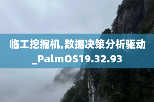 临工挖掘机,数据决策分析驱动_PalmOS19.32.93