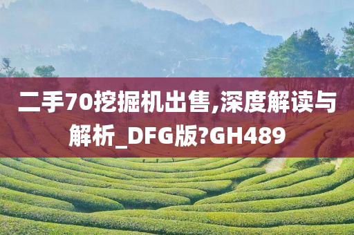 二手70挖掘机出售,深度解读与解析_DFG版?GH489