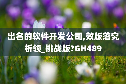 出名的软件开发公司,效版落究析领_挑战版?GH489