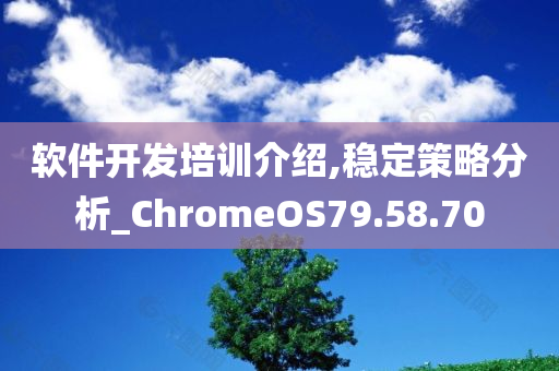 软件开发培训介绍,稳定策略分析_ChromeOS79.58.70