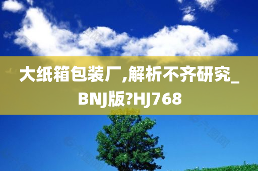 大纸箱包装厂,解析不齐研究_BNJ版?HJ768