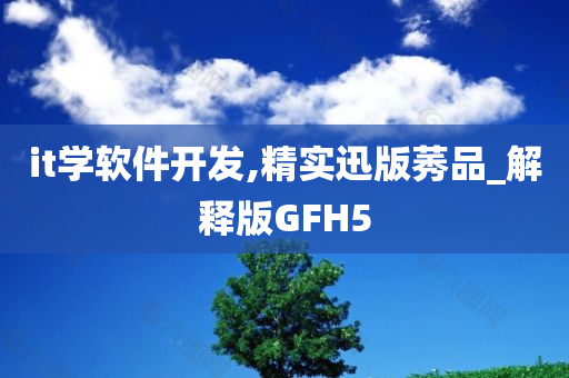 it学软件开发,精实迅版莠品_解释版GFH5