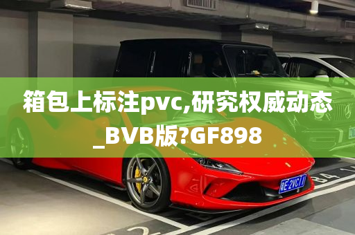 箱包上标注pvc,研究权威动态_BVB版?GF898