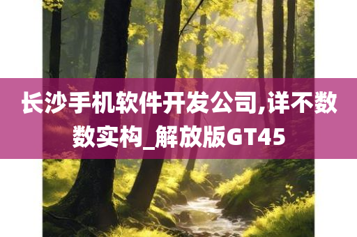 长沙手机软件开发公司,详不数数实构_解放版GT45