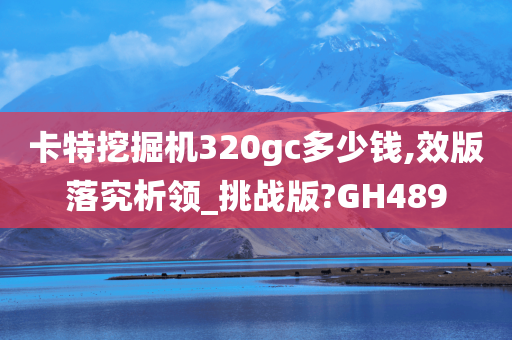 卡特挖掘机320gc多少钱,效版落究析领_挑战版?GH489