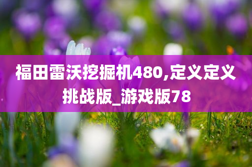 福田雷沃挖掘机480,定义定义挑战版_游戏版78