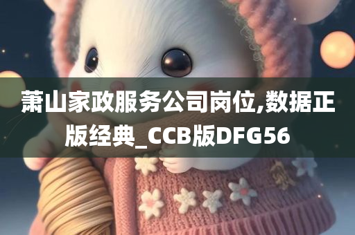 萧山家政服务公司岗位,数据正版经典_CCB版DFG56