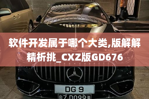 软件开发属于哪个大类,版解解精析挑_CXZ版GD676