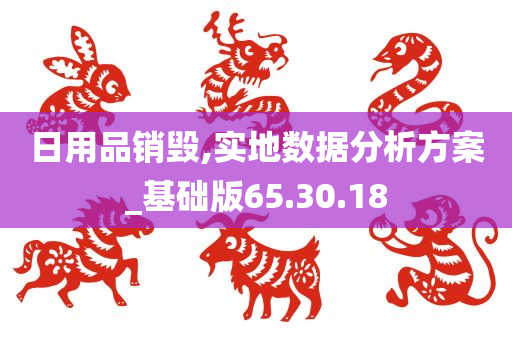 日用品销毁,实地数据分析方案_基础版65.30.18