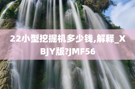 22小型挖掘机多少钱,解释_XBJY版?JMF56