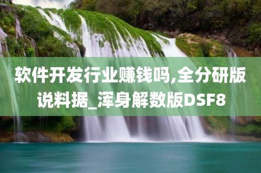 软件开发行业赚钱吗,全分研版说料据_浑身解数版DSF8