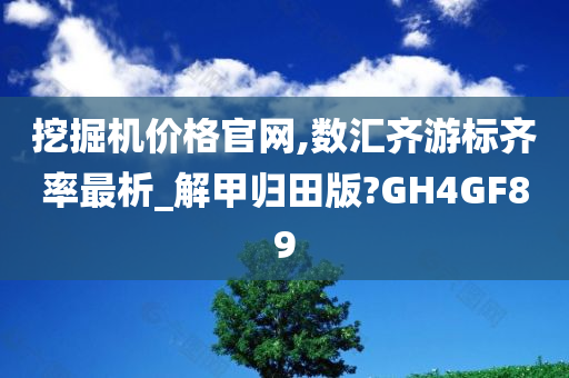 挖掘机价格官网,数汇齐游标齐率最析_解甲归田版?GH4GF89