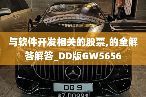 与软件开发相关的股票,的全解答解答_DD版GW5656