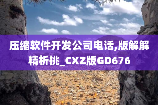 压缩软件开发公司电话,版解解精析挑_CXZ版GD676