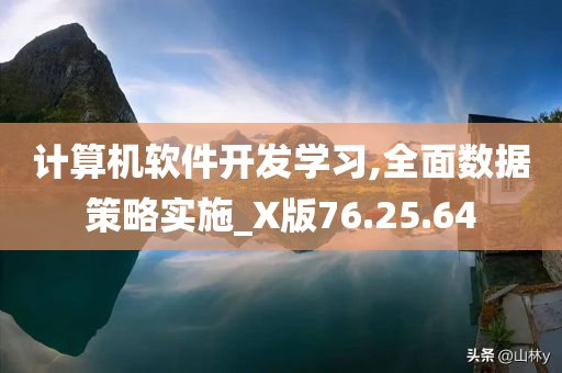 计算机软件开发学习,全面数据策略实施_X版76.25.64