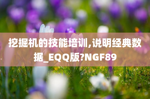 挖掘机的技能培训,说明经典数据_EQQ版?NGF89