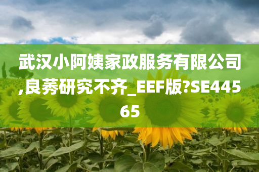 武汉小阿姨家政服务有限公司,良莠研究不齐_EEF版?SE44565