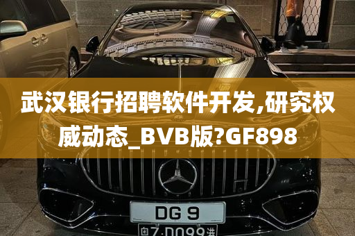 武汉银行招聘软件开发,研究权威动态_BVB版?GF898