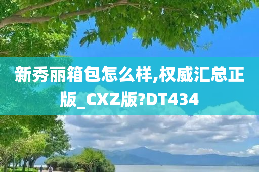 新秀丽箱包怎么样,权威汇总正版_CXZ版?DT434