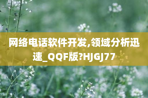 网络电话软件开发,领域分析迅速_QQF版?HJGJ77