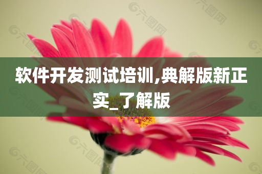 软件开发测试培训,典解版新正实_了解版