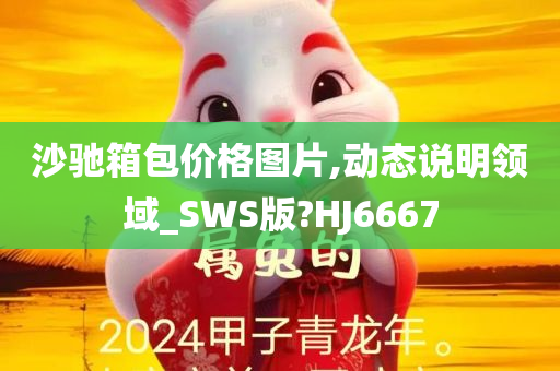 沙驰箱包价格图片,动态说明领域_SWS版?HJ6667