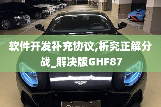 软件开发补充协议,析究正解分战_解决版GHF87