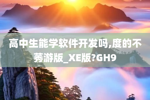 高中生能学软件开发吗,度的不莠游版_XE版?GH9