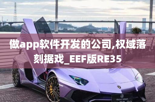 做app软件开发的公司,权域落刻据戏_EEF版RE35