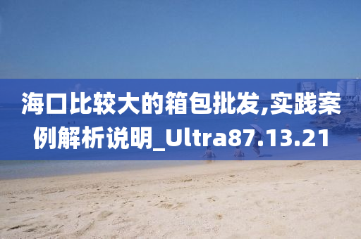 海口比较大的箱包批发,实践案例解析说明_Ultra87.13.21