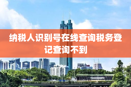 纳税人识别号在线查询税务登记查询不到