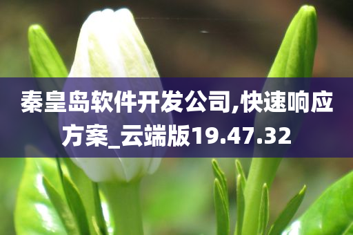 秦皇岛软件开发公司,快速响应方案_云端版19.47.32