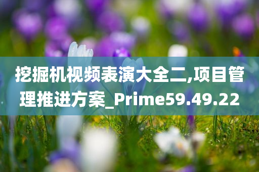 挖掘机视频表演大全二,项目管理推进方案_Prime59.49.22