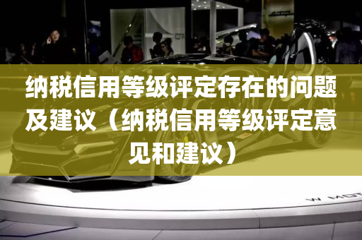 纳税信用等级评定存在的问题及建议（纳税信用等级评定意见和建议）