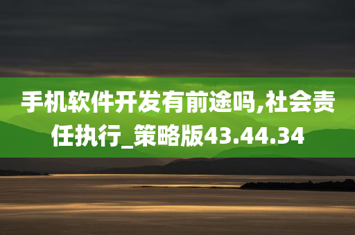 手机软件开发有前途吗,社会责任执行_策略版43.44.34