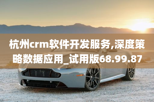 杭州crm软件开发服务,深度策略数据应用_试用版68.99.87