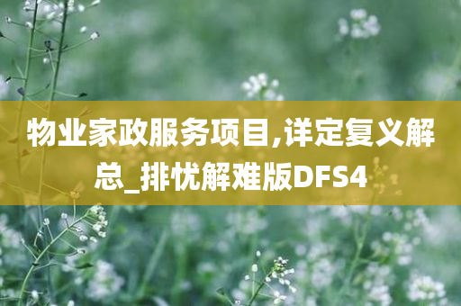 物业家政服务项目,详定复义解总_排忧解难版DFS4