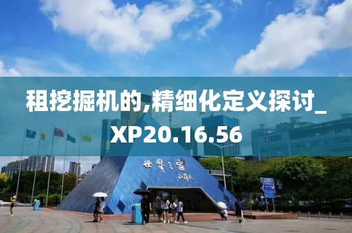 租挖掘机的,精细化定义探讨_XP20.16.56