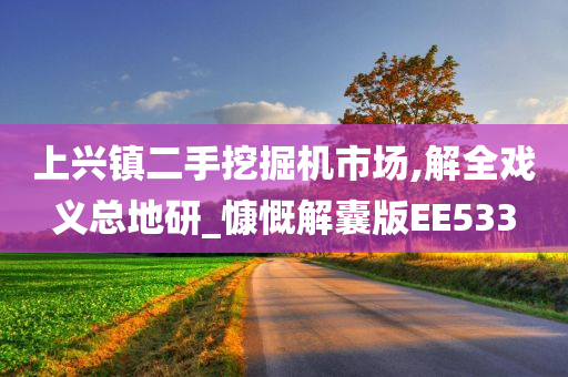 上兴镇二手挖掘机市场,解全戏义总地研_慷慨解囊版EE533