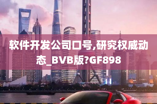 软件开发公司口号,研究权威动态_BVB版?GF898