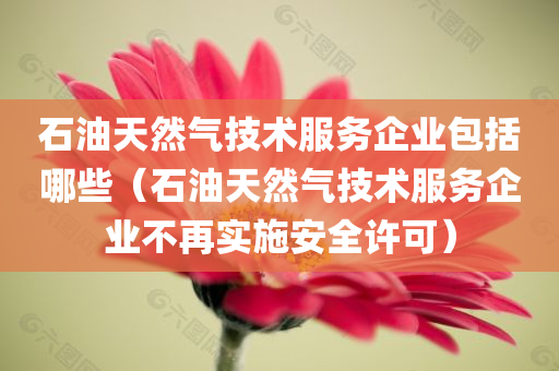 石油天然气技术服务企业包括哪些（石油天然气技术服务企业不再实施安全许可）