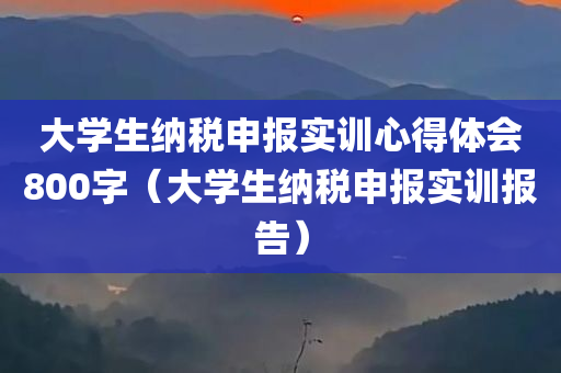 大学生纳税申报实训心得体会800字（大学生纳税申报实训报告）