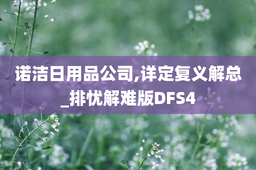 诺洁日用品公司,详定复义解总_排忧解难版DFS4