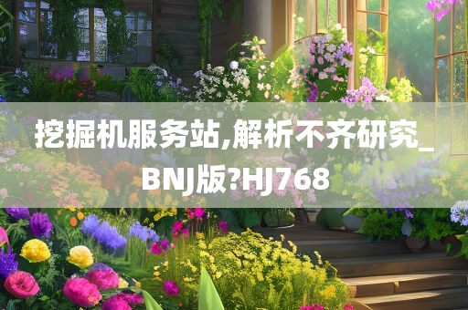 挖掘机服务站,解析不齐研究_BNJ版?HJ768