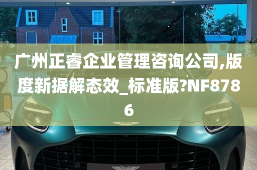 广州正睿企业管理咨询公司,版度新据解态效_标准版?NF8786