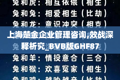 上海楚金企业管理咨询,效战深释析究_BVB版GHF87