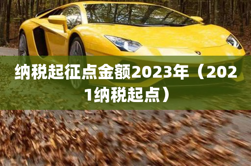 纳税起征点金额2023年（2021纳税起点）