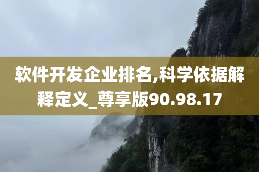 软件开发企业排名,科学依据解释定义_尊享版90.98.17